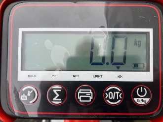 Carretilla elevadora segunda mano NOBLE HPT 20S Wiegehubwagen HANDSEMI HANDGABELHUBWAGENMANUELL (13021638)