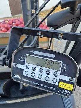 Használt targonca LINDE H35T-02 EVO DIESEL VIERRADFRONTSTAPLER (13062290)